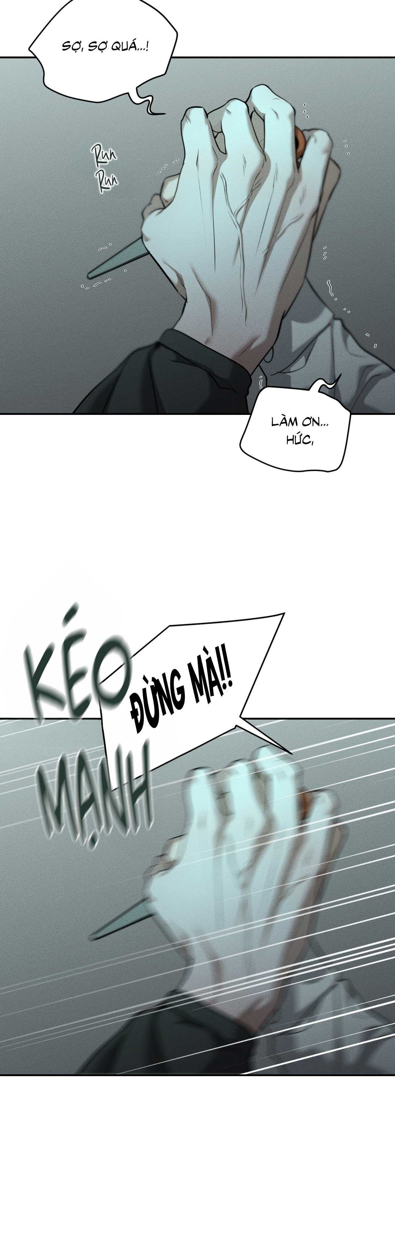 Gấu Teddy Thân Yêu Chapter 49 - Trang 2