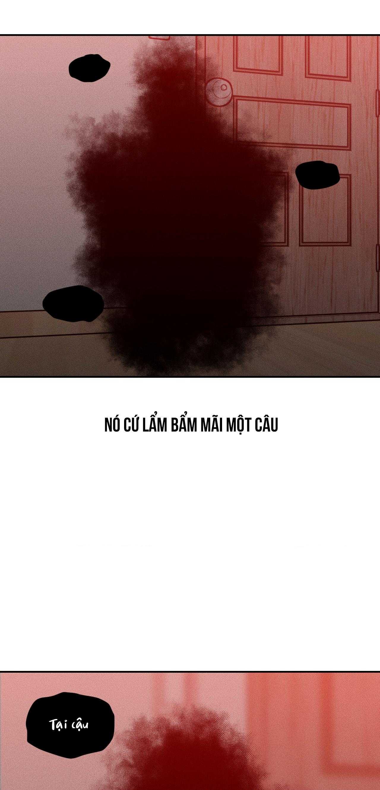 Gấu Teddy Thân Yêu Chapter 50 - Trang 2
