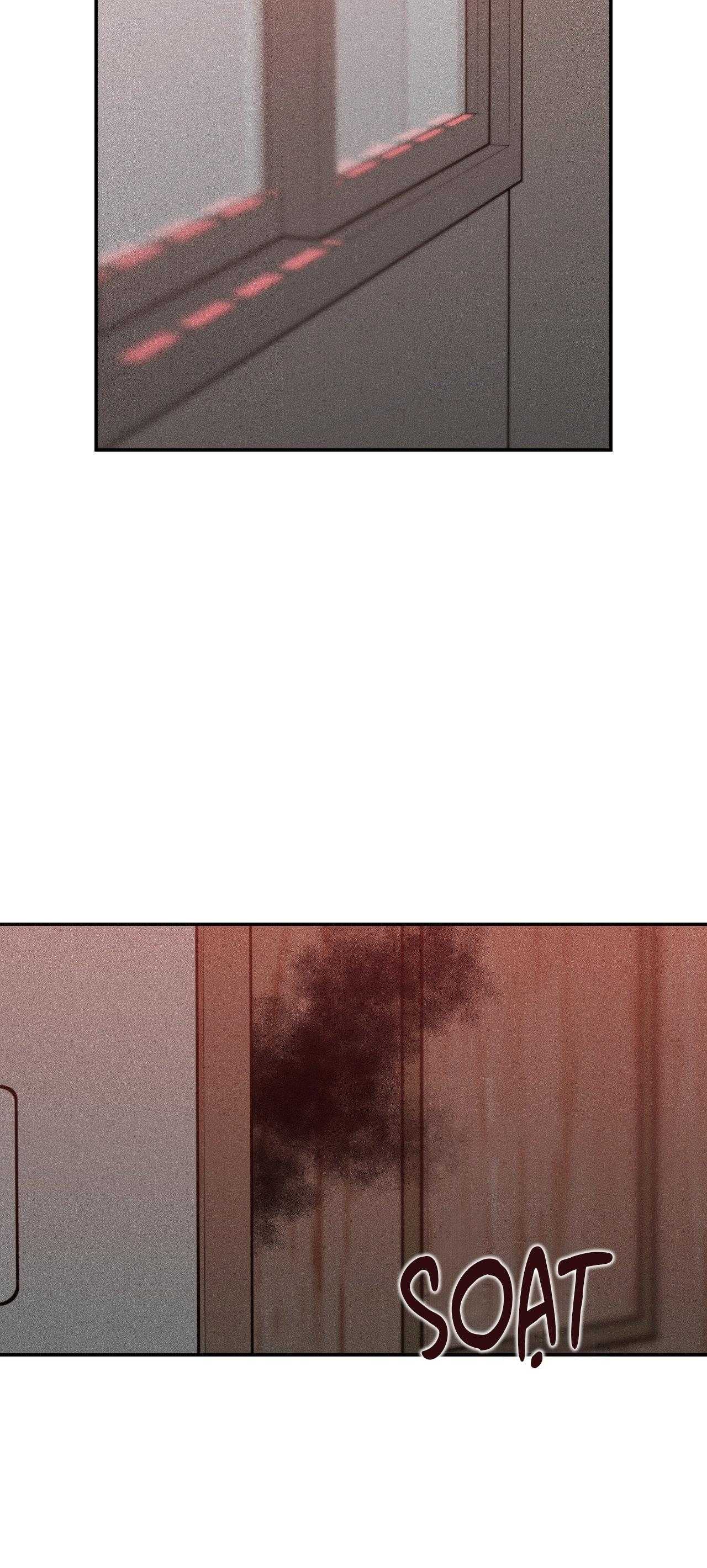 Gấu Teddy Thân Yêu Chapter 50 - Trang 2