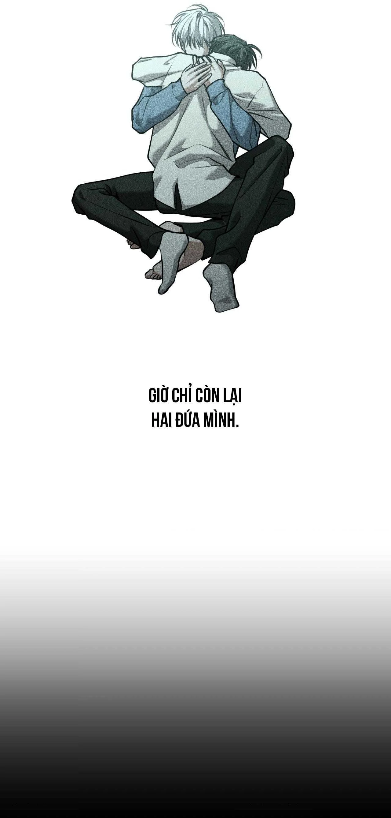 Gấu Teddy Thân Yêu Chapter 50 - Trang 2