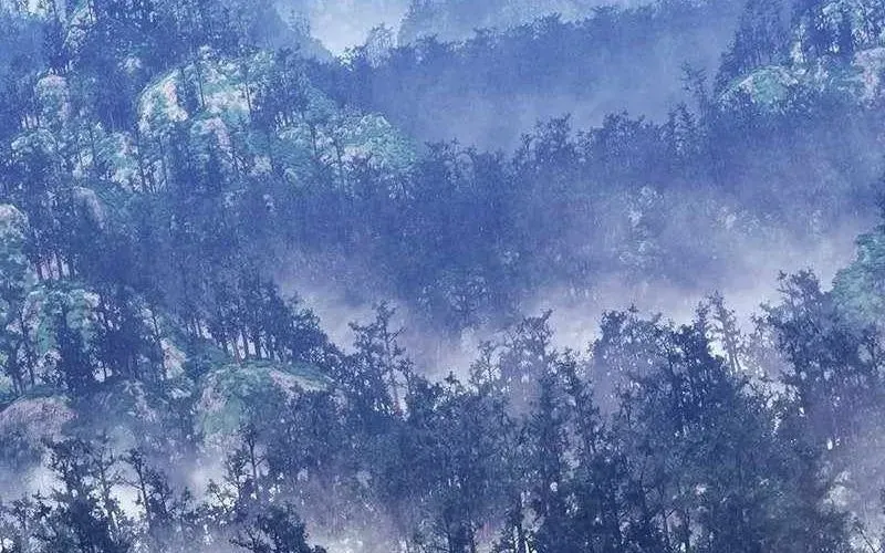 Gậy Gỗ Cấp 99+ Chapter 165.5 - Trang 2