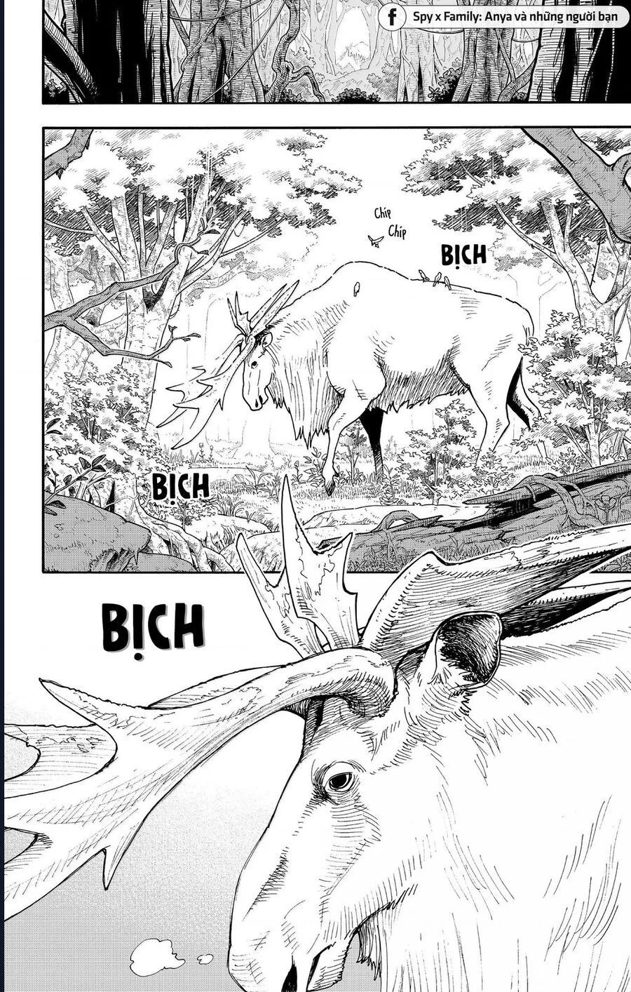 Gia Đình Điệp Viên Chapter 116 - Trang 2