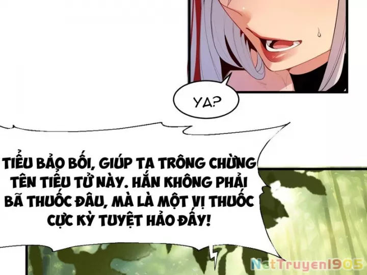 Giáo Chủ Ma Giáo Vụng Trộm Xem Ta Tu Luyện Chapter 1 114