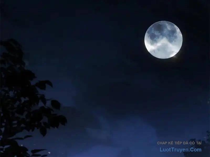 Giáo Chủ Ma Giáo Vụng Trộm Xem Ta Tu Luyện Chapter 37 - Next Chapter 38