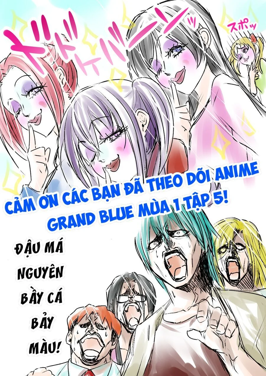 Grand Blue – Cô Gái Thích Lặn Chapter 102 - Trang 2
