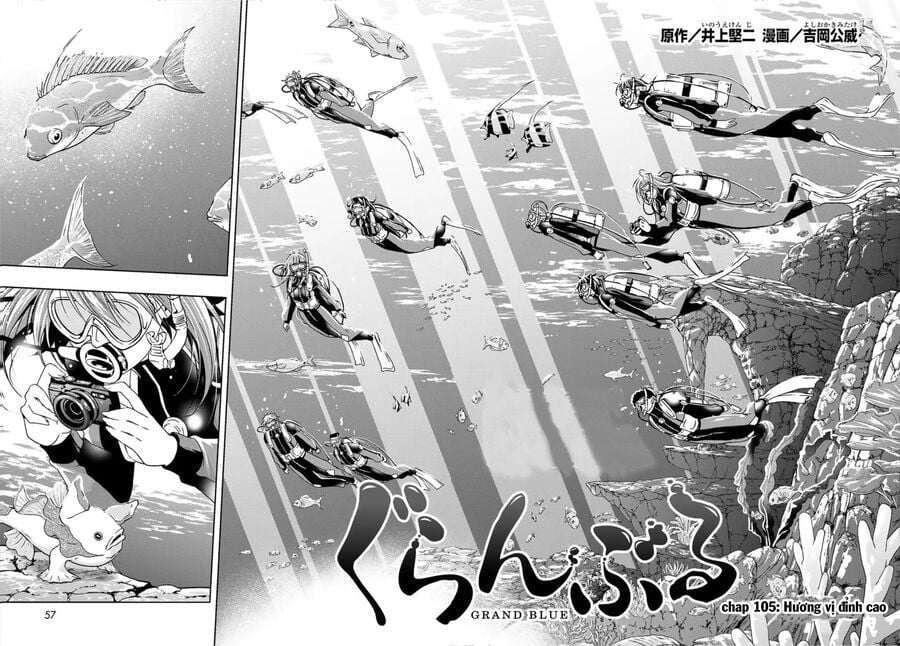 Grand Blue – Cô Gái Thích Lặn Chapter 105 - Next 