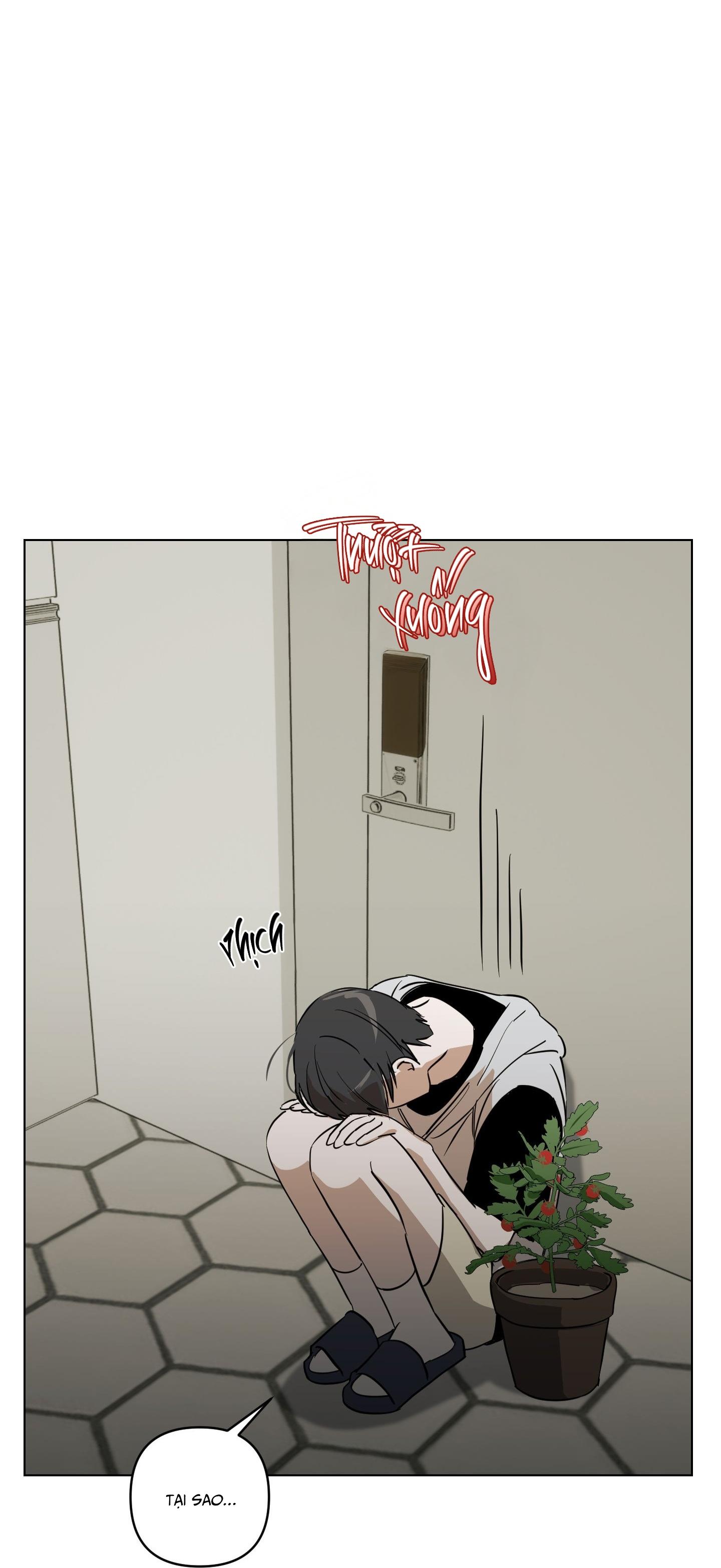 GUITAR ĐIỆN VÀ CÀ VẠT Chapter 1 25