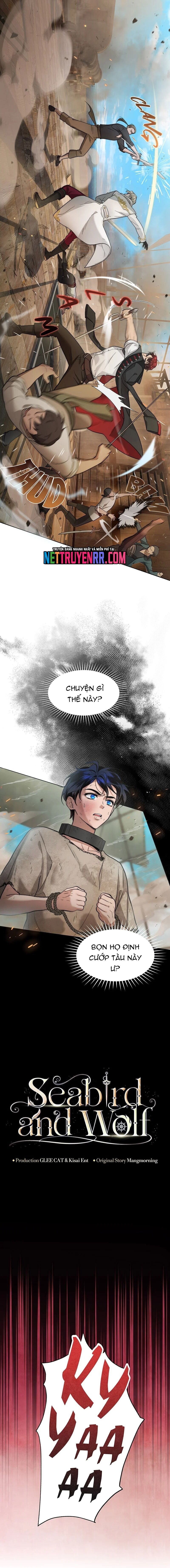 Hải Âu & Sói Hoang Chapter 3 2