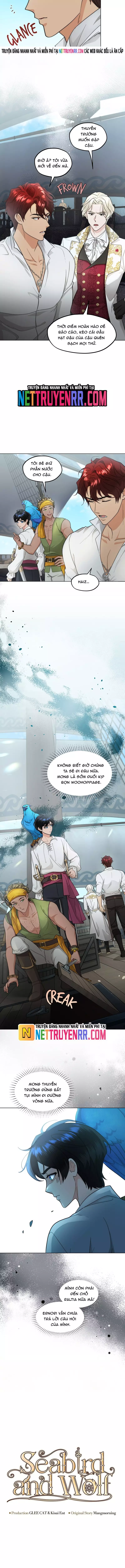 Hải Âu & Sói Hoang Chapter 32 - Trang 3