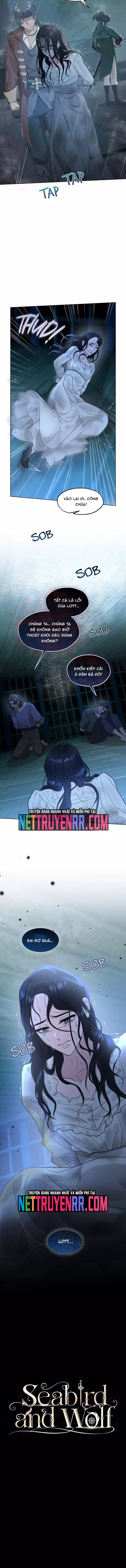 Hải Âu & Sói Hoang Chapter 32 - Trang 3