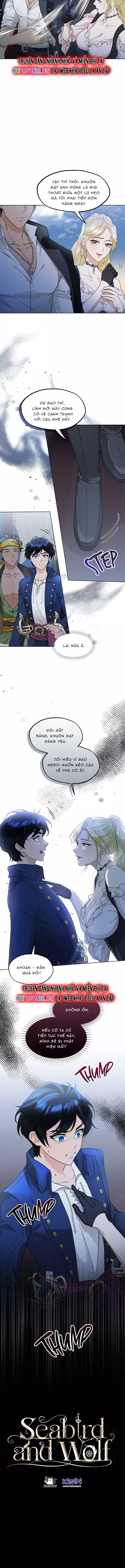 Hải Âu & Sói Hoang Chapter 34 - Trang 3