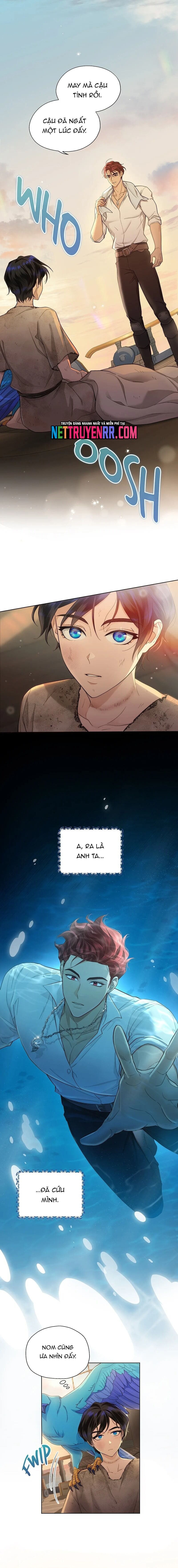 Hải Âu & Sói Hoang Chapter 4 2