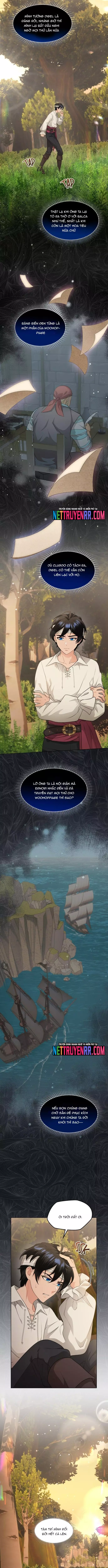 Hải Âu & Sói Hoang Chapter 40 - Trang 3