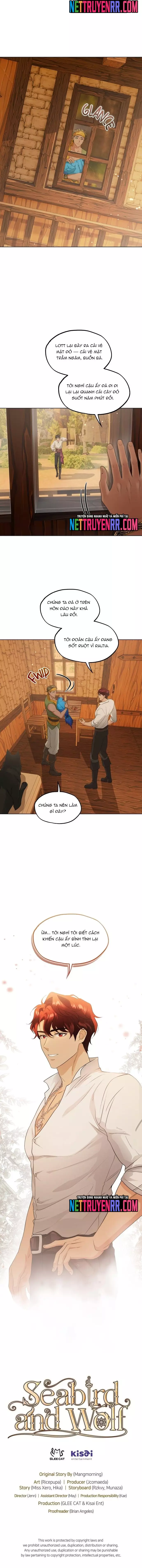 Hải Âu & Sói Hoang Chapter 40 - Trang 3