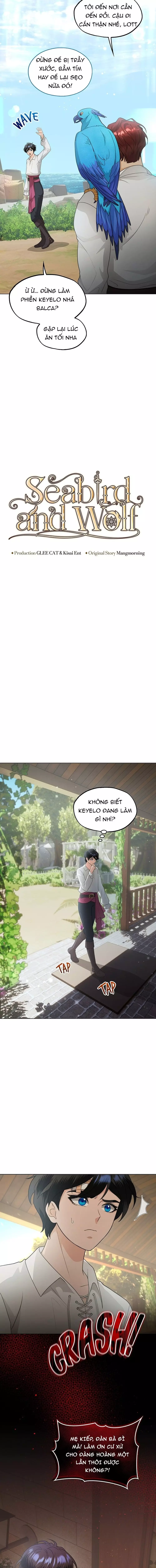 Hải Âu & Sói Hoang Chapter 41 - Trang 3
