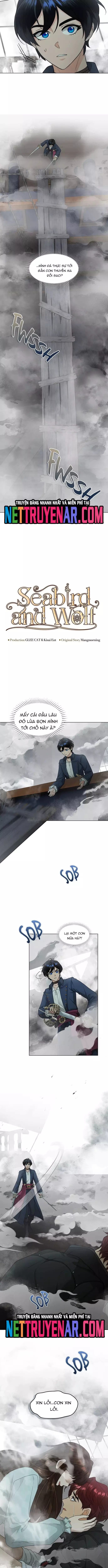 Hải Âu & Sói Hoang Chapter 47 - Next 