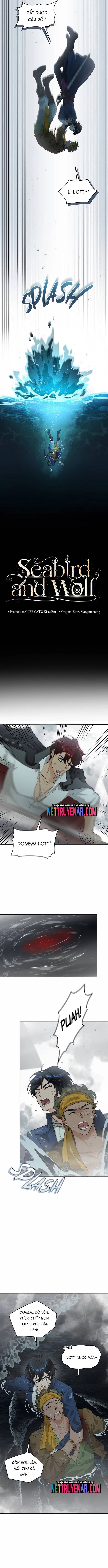 Hải Âu & Sói Hoang Chapter 49 - Next Chapter 50