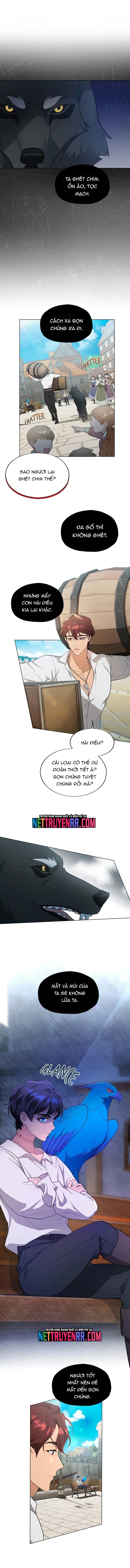 Hải Âu & Sói Hoang Chapter 5 5