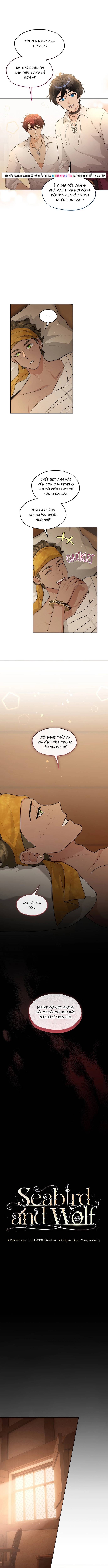 Hải Âu & Sói Hoang Chapter 50 - Next Chapter 51