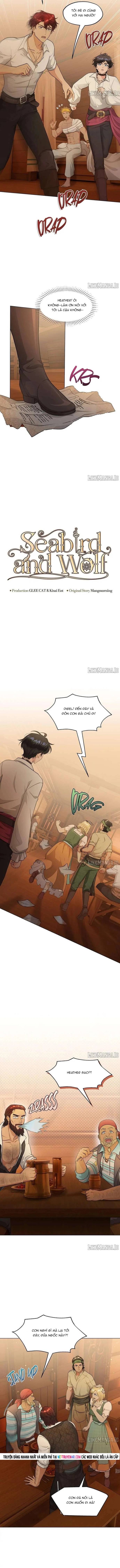 Hải Âu & Sói Hoang Chapter 54 - Trang 2