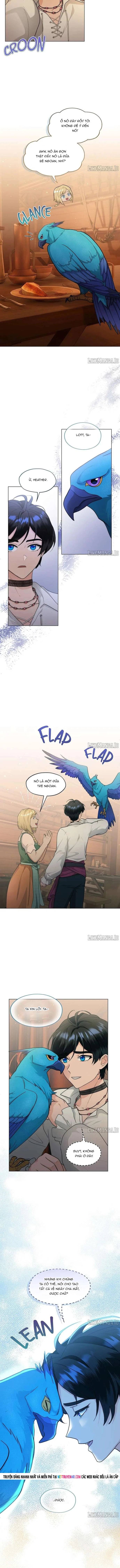 Hải Âu & Sói Hoang Chapter 54 - Trang 2