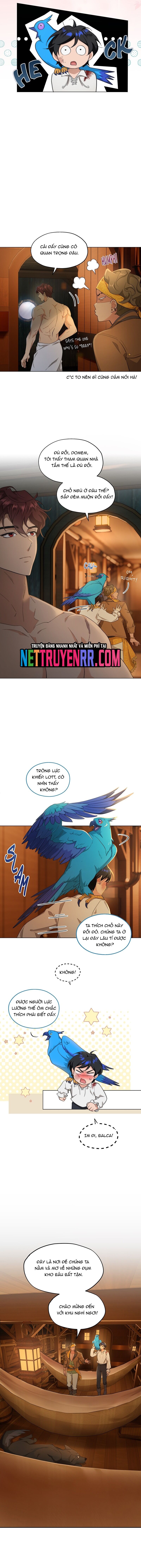 Hải Âu & Sói Hoang Chapter 7 9