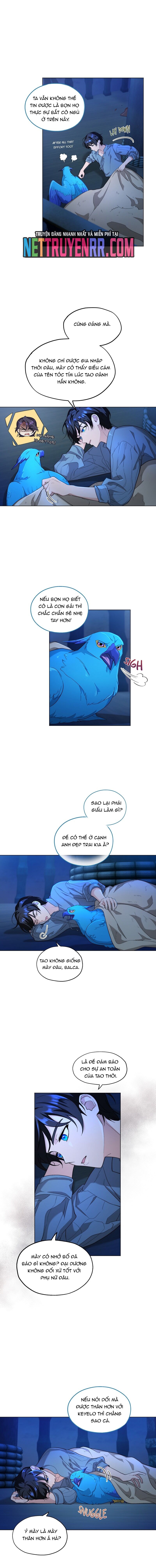 Hải Âu & Sói Hoang Chapter 8 2