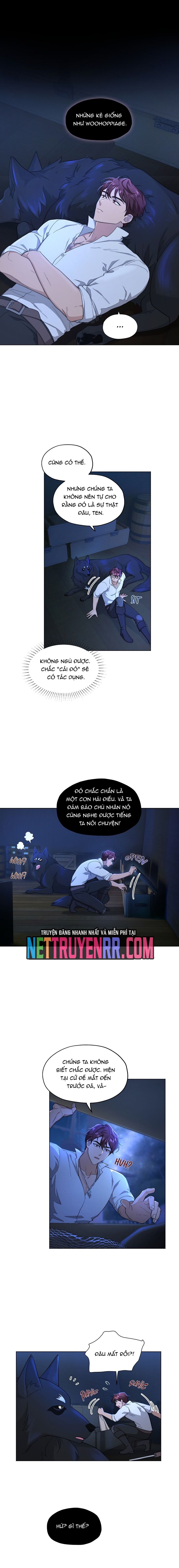 Hải Âu & Sói Hoang Chapter 8 8