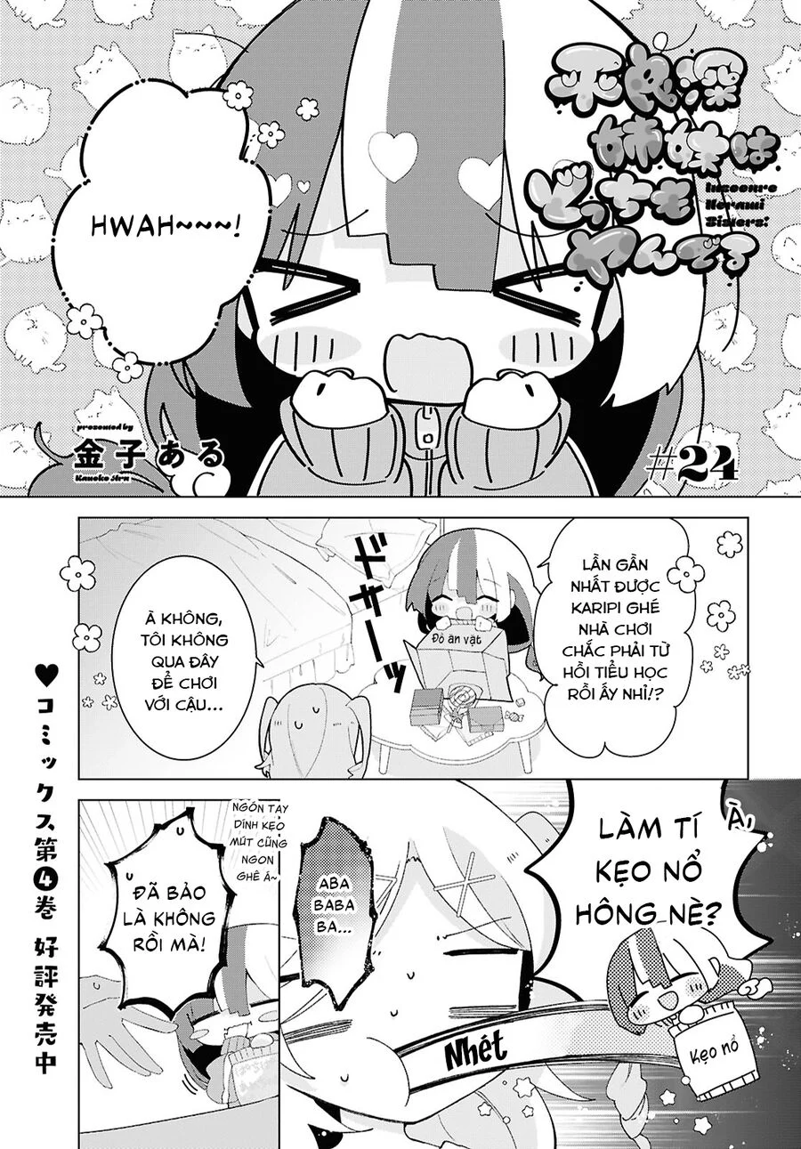 Hai Chị Em Nhà Herami Bất Ổn Thực Sự! Chapter 24 - Trang 2