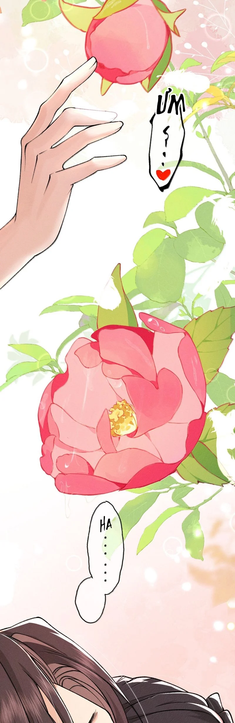 Hải Vương Sau Khi Hoàn Lương Sa Vào Tu La Tràng Chapter 44 - Trang 2