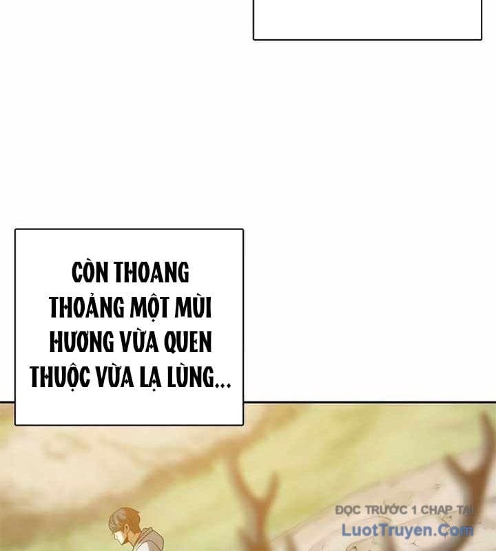 Hàn Băng Võ Giả Chapter 35 - Next Chapter 36