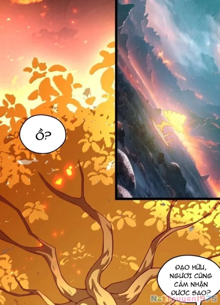 Hảo Đồ Nhi Hãy Tha Cho Vi Sư Chapter 350 - Trang 2