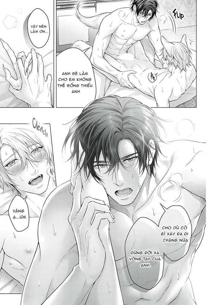Hãy cho tôi chạm vào chiếc đuôi gợi cảm đó Chapter 6 - Trang 2