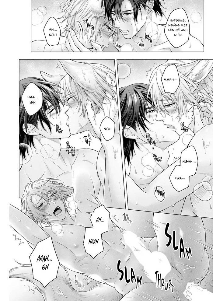 Hãy cho tôi chạm vào chiếc đuôi gợi cảm đó Chapter 7 - Trang 2