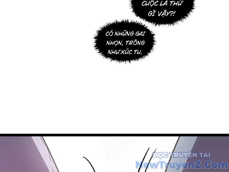 Hệ Thống Của Ta Thật Đứng Đắn Chapter 60 - Trang 3