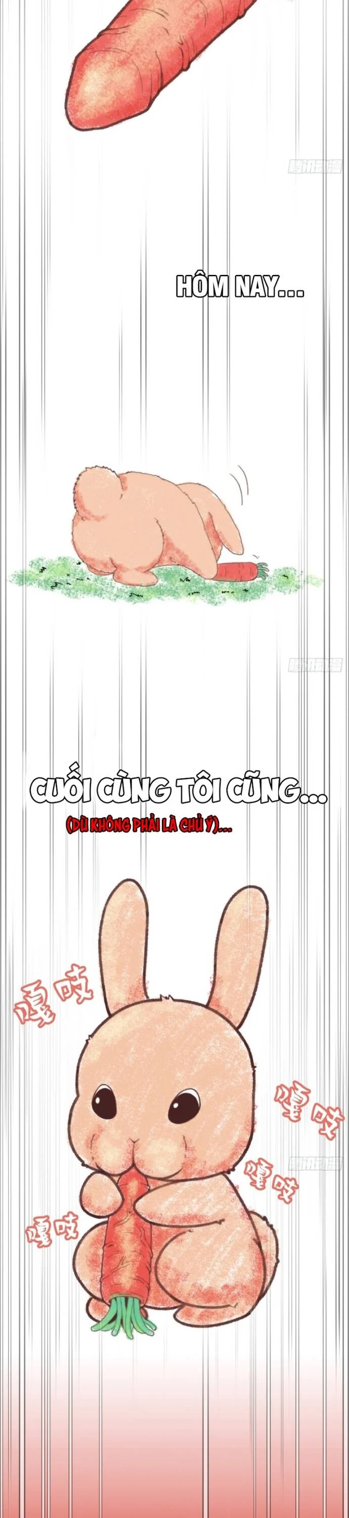Hệ Thống Tận Thế Của Tôi Sụp Đổ Rồi Chapter 7 - Trang 3