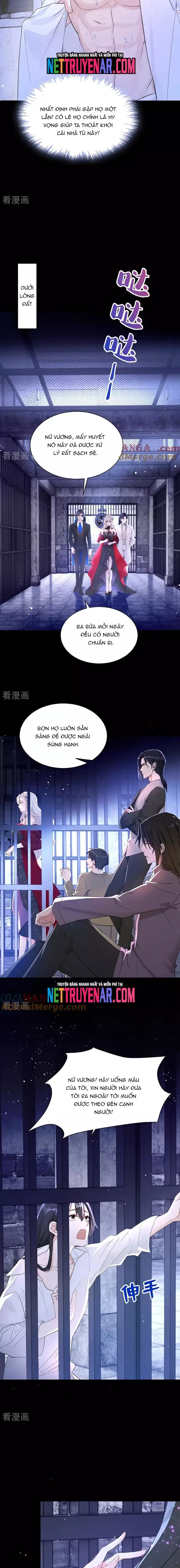 Hệ Thống Xuyên Nhanh: Ác Nam Không Dễ Chọc Chapter 153 5