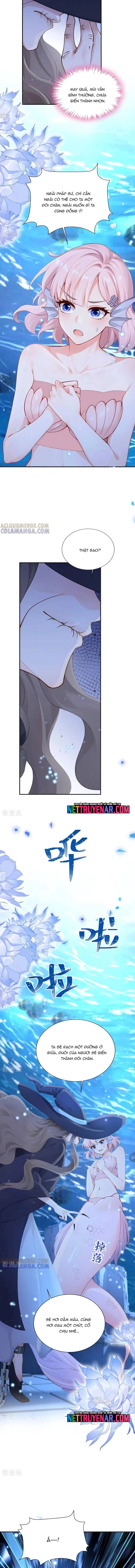 Hệ Thống Xuyên Nhanh: Ác Nam Không Dễ Chọc Chapter 242 - Trang 2