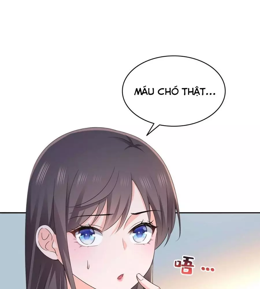 Hệt Như Hàn Quang Gặp Nắng Gắt Chapter 561 - Trang 2
