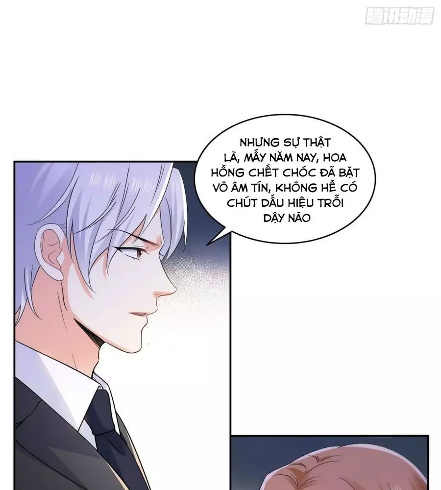 Hệt Như Hàn Quang Gặp Nắng Gắt Chapter 561 - Trang 2