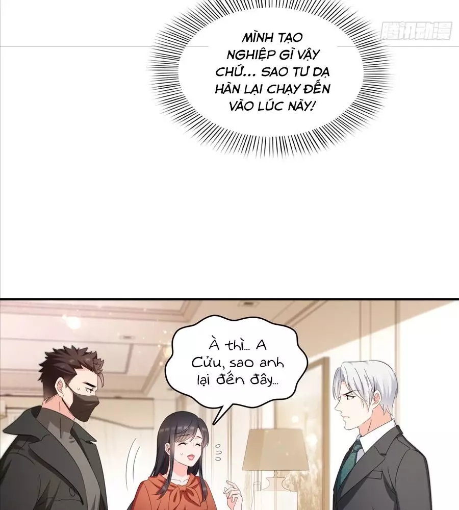 Hệt Như Hàn Quang Gặp Nắng Gắt Chapter 565 - Trang 3