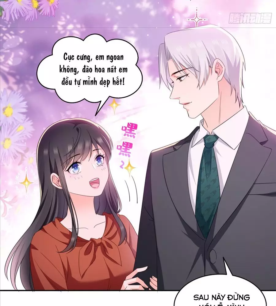 Hệt Như Hàn Quang Gặp Nắng Gắt Chapter 565 - Trang 3