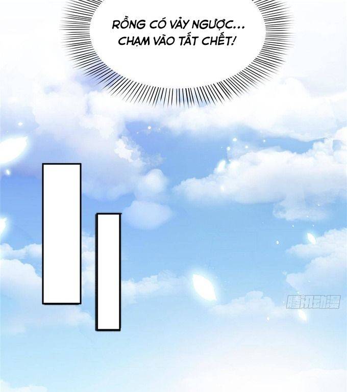 Hệt Như Hàn Quang Gặp Nắng Gắt Chapter 568 - Next 