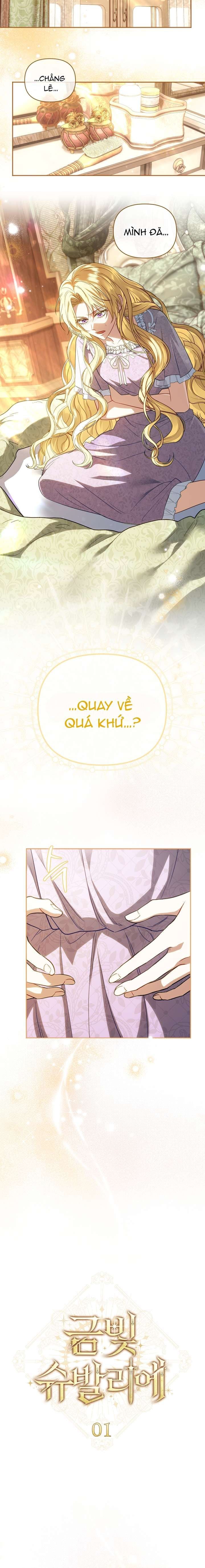 Hiệp Sĩ Vàng Chapter 1 27