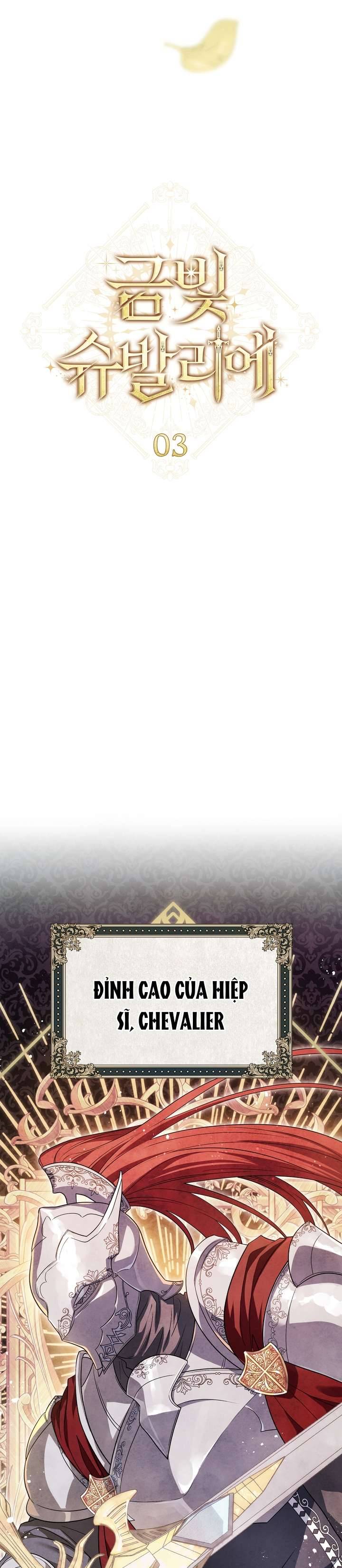 Hiệp Sĩ Vàng Chapter 3 11