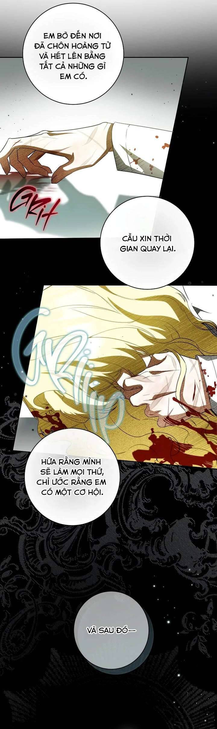 Hình Như Tôi Đã Xuyên Vào Cuốn Tiểu Thuyết Nào Đó Chapter 76 19
