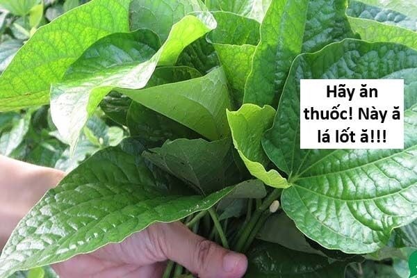 Hổ Đến Chơi Nhà Chapter 139 - Trang 2
