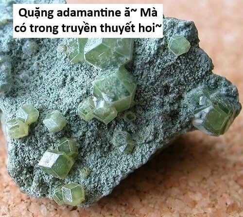 Hổ Đến Chơi Nhà Chapter 141 - Trang 4