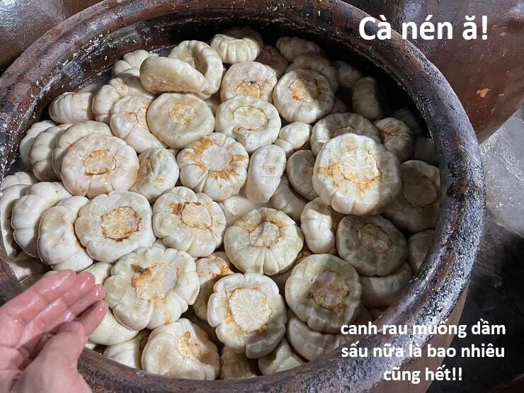 Hổ Đến Chơi Nhà Chapter 145 - Next 