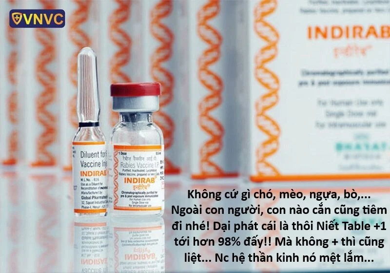 Hổ Đến Chơi Nhà Chapter 151 - Trang 2